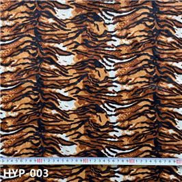 HYP-003_副本