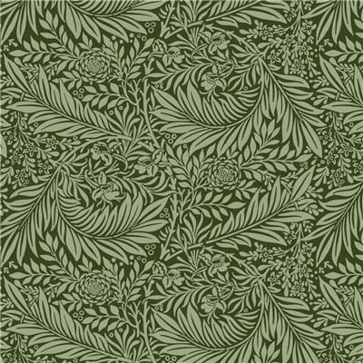 花纹 (2)
